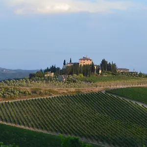 Damario Panorama , Panzano in Chianti Italië
